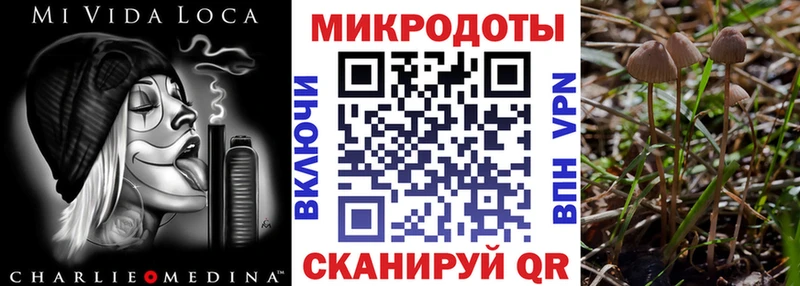 Псилоцибиновые грибы Cubensis  Котельниково 